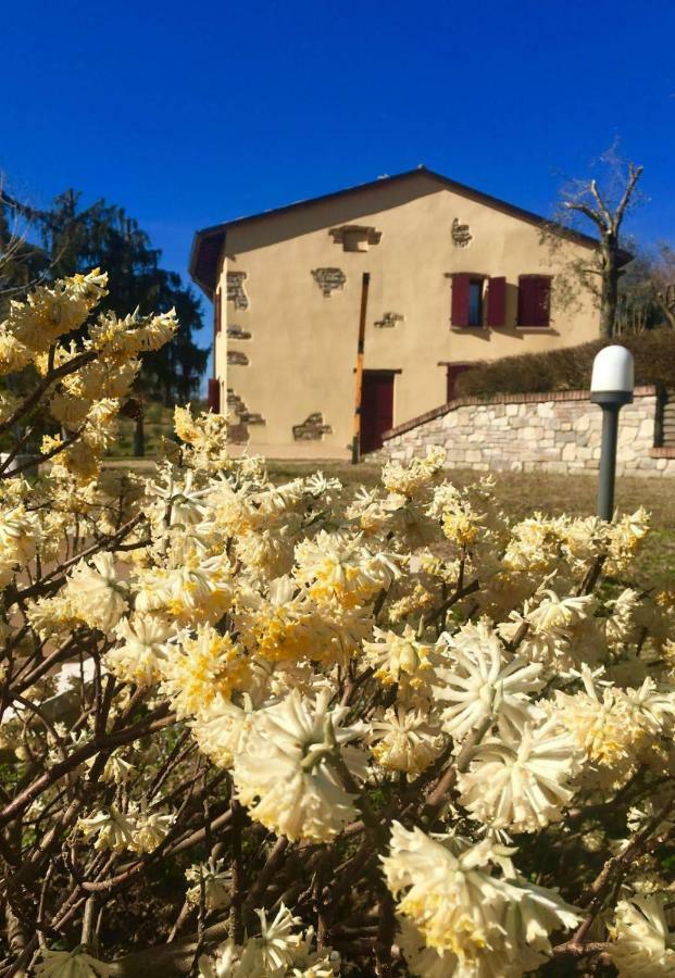 Hotel Rosy25 à San Michele  Extérieur photo